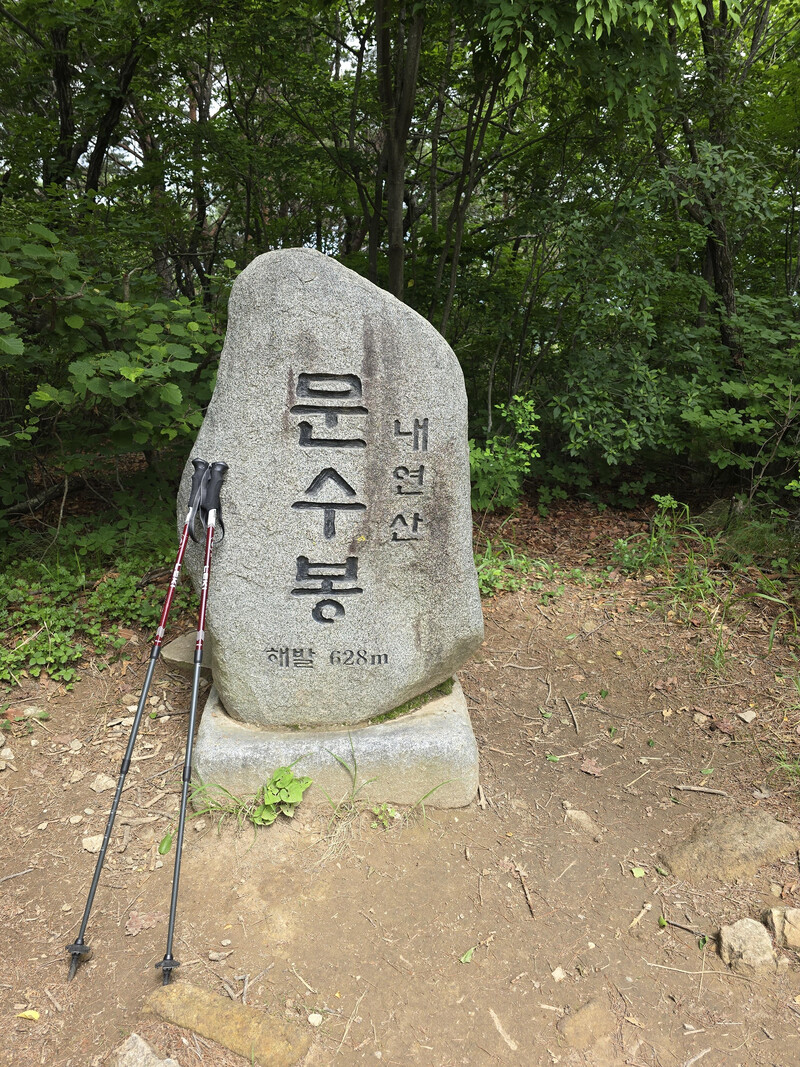 소식
