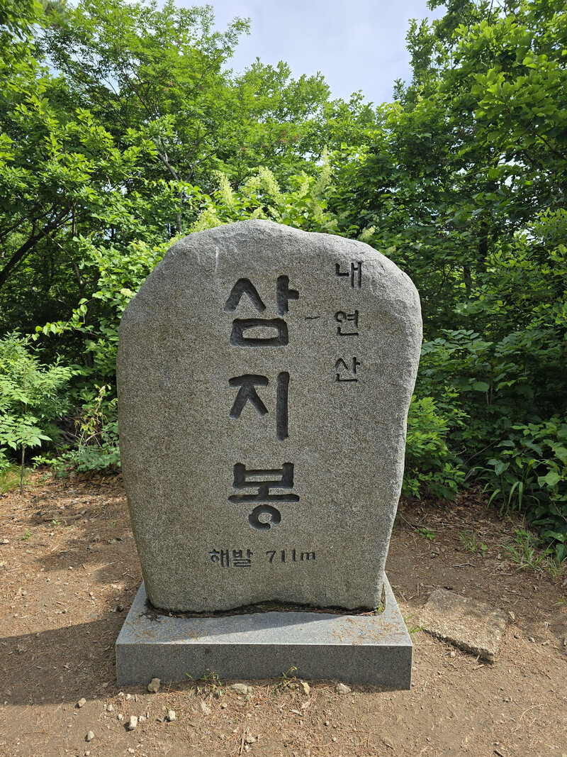 소식