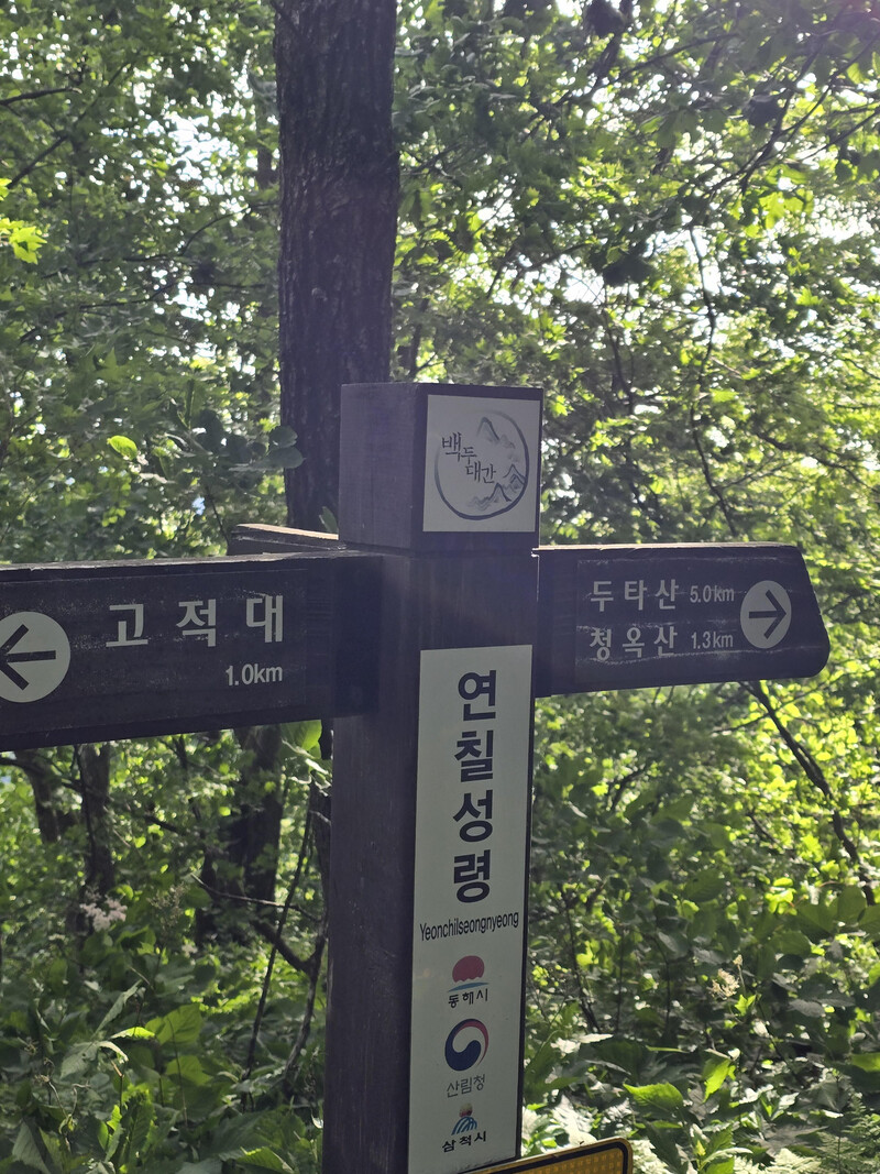소식