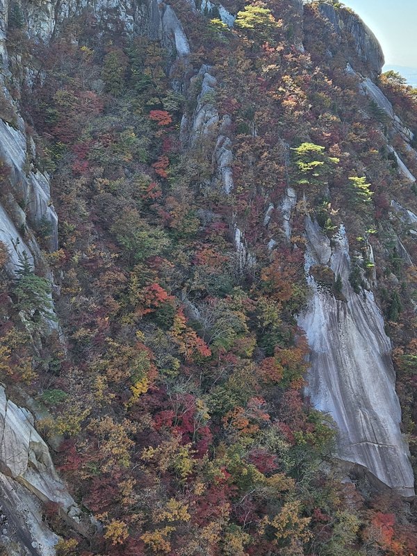 숨은벽 단풍
