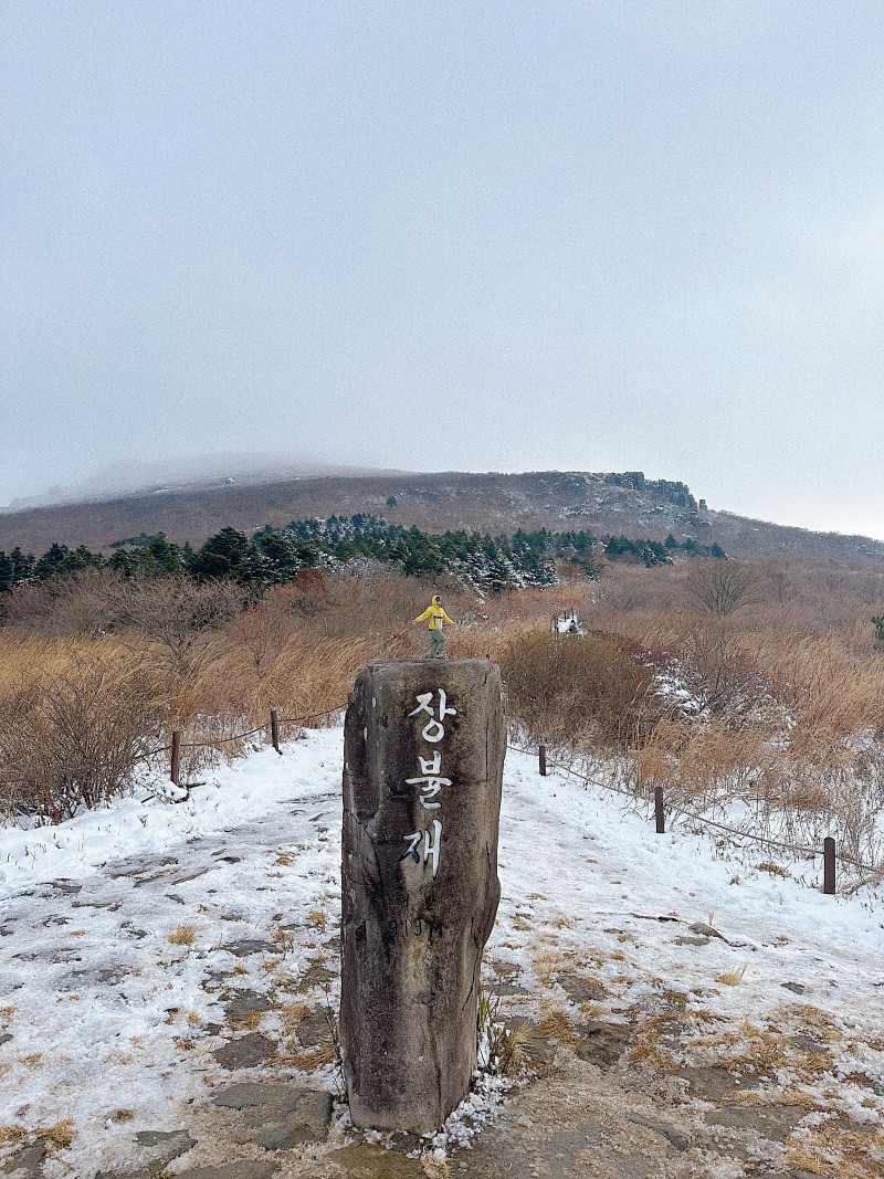 무등산 첫눈
< 전라남도 광주시 무등산 국립공원>
⛰️전체 산행 루트⛰️
들머리 : 중지마을입구
날머리 : 동일
산행거리 : 8.5km
산행코스 : 중지마을 - 수만리탐방지원센터 - 장불재(919m) - 서석대(1100m)
❤️🔥산행난이도 : 보통
⏰산행시간 :3시간10분(운동시간)
🚘 주차장: 중지마을입구
🛣️네비: 전남 화순군 화순읍 수만리
🅿️ 주차요금: 무
🚻 화장실: 유
🚸 입산 가능 시간 🚸
동절기(11월~익년 3월) 05:00~14:00
하절기(4월~11월) 04:00~15:00
✅ 버스로 오실경우 중지마을입구까지 오실수 있고, 개인차량으로 오실 경우 600m 더 올라오시면 수만리탐방지원센터에 공터에 주차하실수 있어요,
✅ 수만리탐방지원센터,장불재에 화장실 있으니 참고!
✅ 무등산에는 계절에 따라 인기있는코스가 많은데 저는 짧고 매운맛이 강한 최단코스인 수만리코스로 다녀왔어요,(바위길이기때문에 눈&비 오면 매우미끄러워요)
✅ 현재 인왕봉 정상개봉때문에 많은분이 찾아오실텐데 현재 군부대 가림막 파손훼손때문에 재정비중이므로 서석대까지만 갈 수 있으니 참고‼️