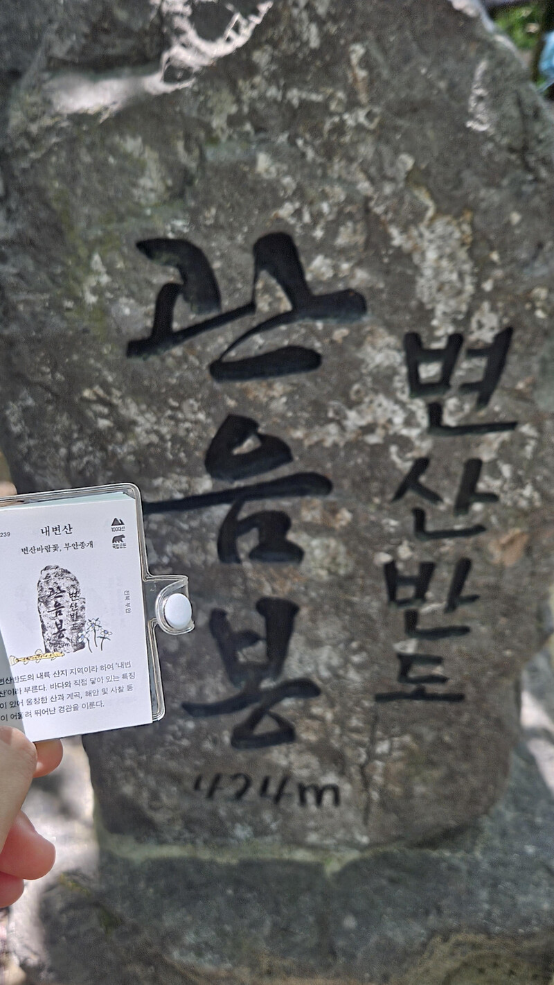 등산일지