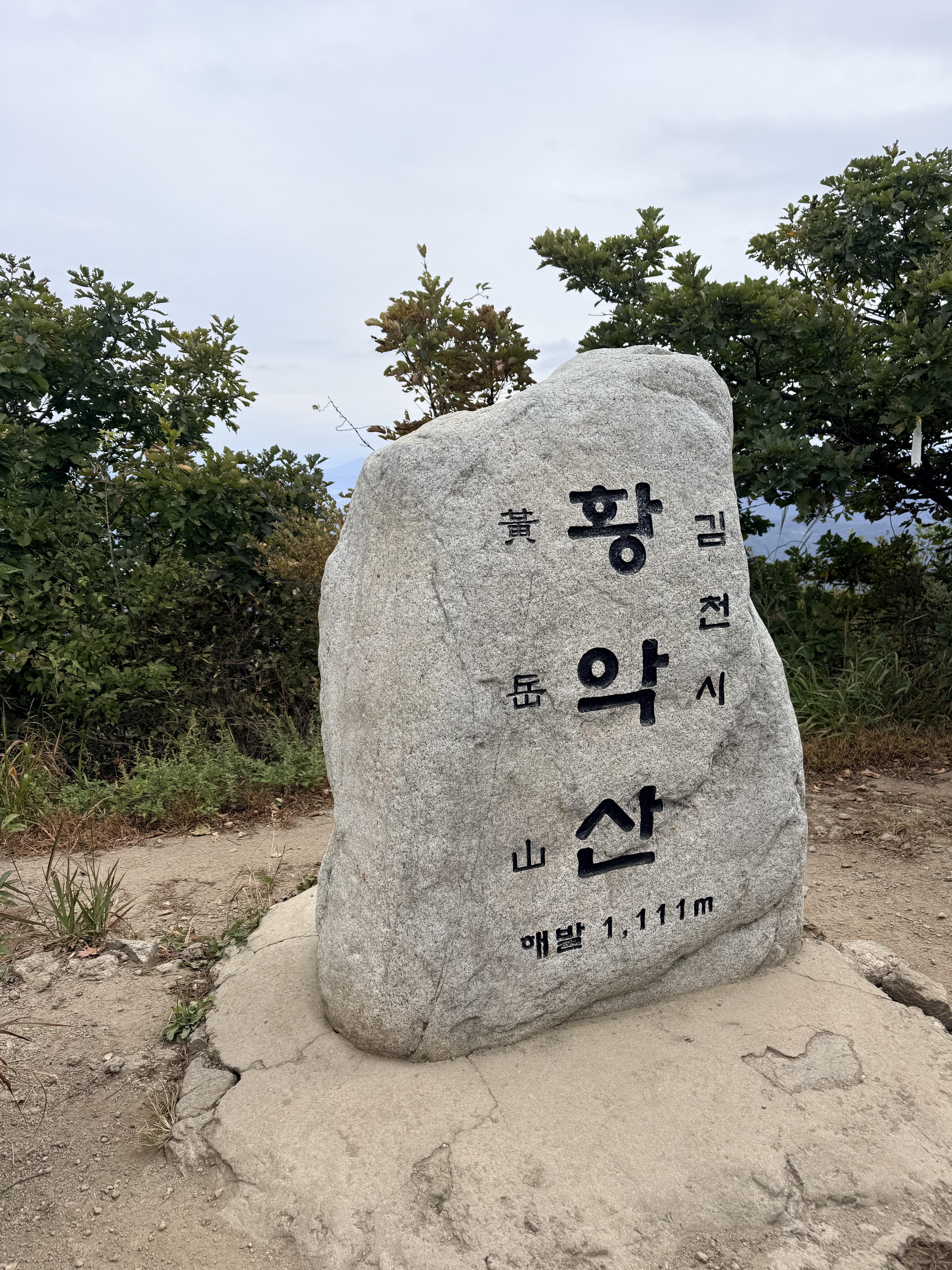 review