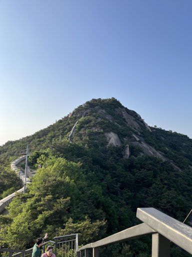 등산일지