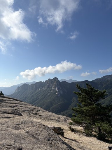 등산일지