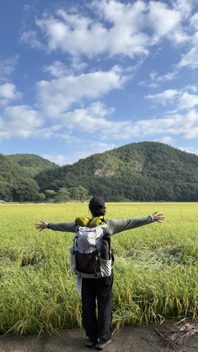 등산일지