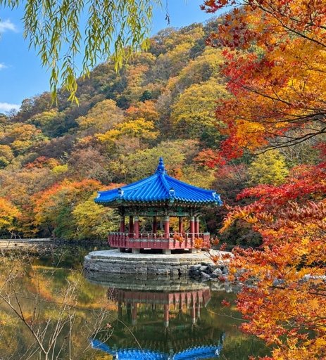 등산일지