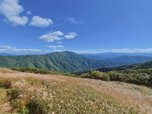 등산일지