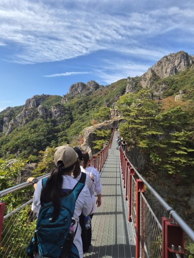 등산일지