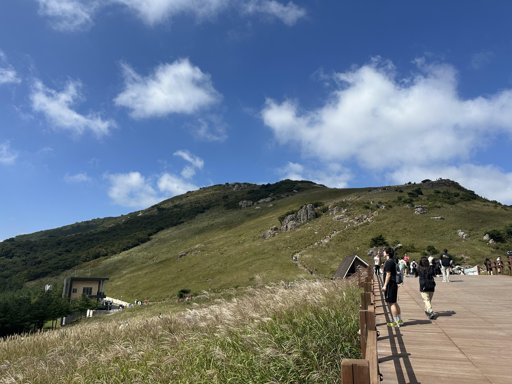 등산일지