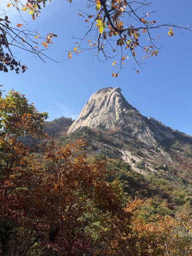등산일지