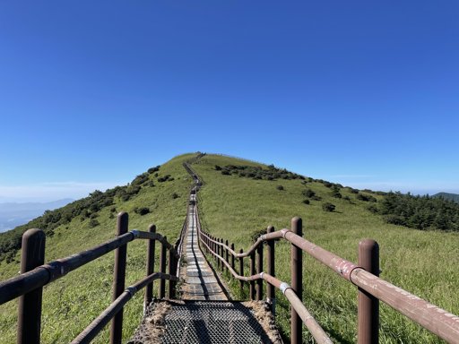등산일지