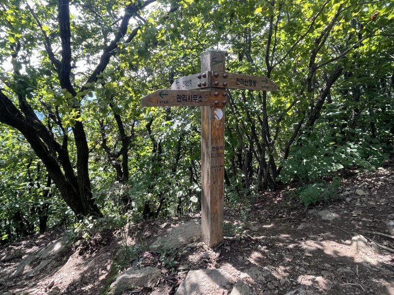 review