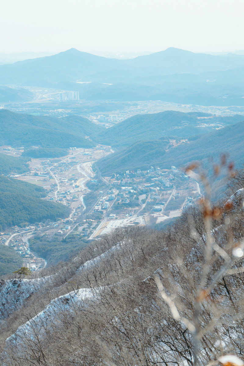 review
