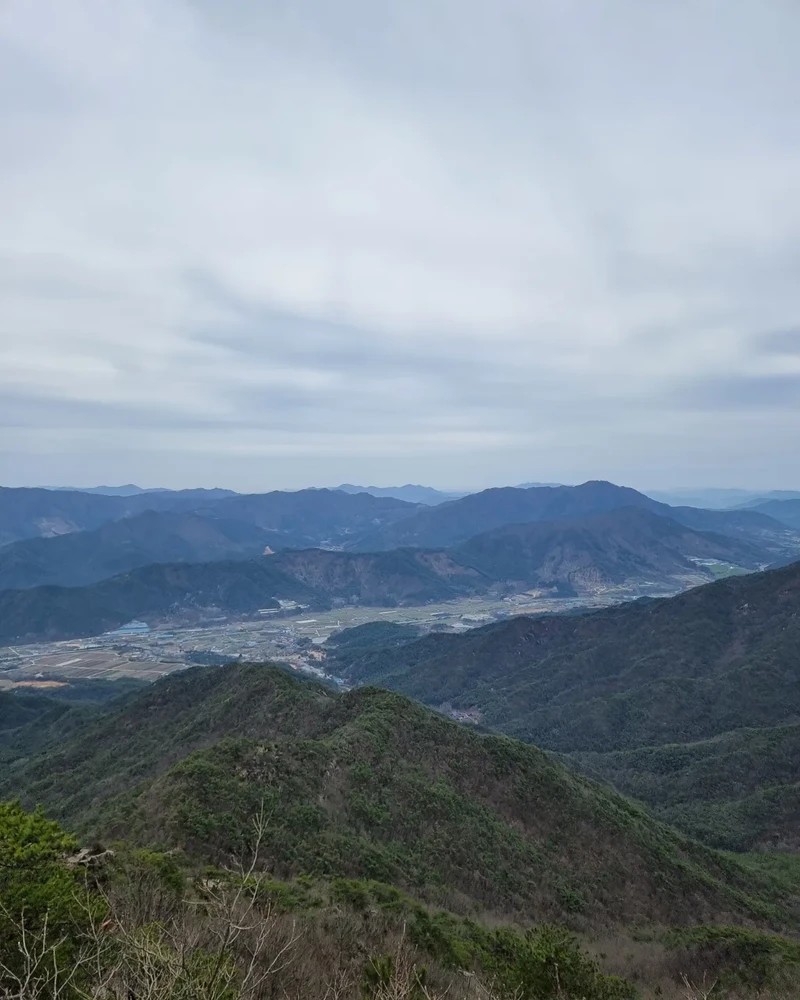 review