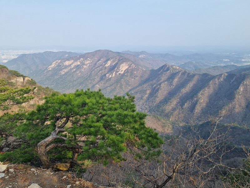 review
