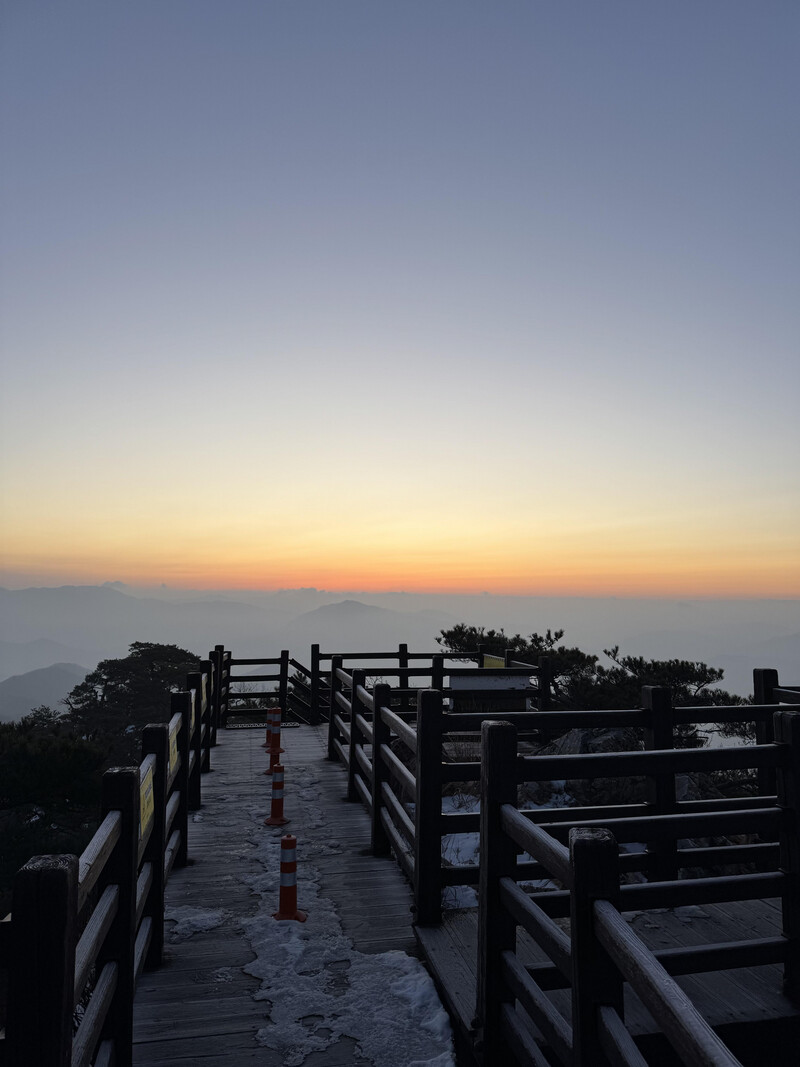 review