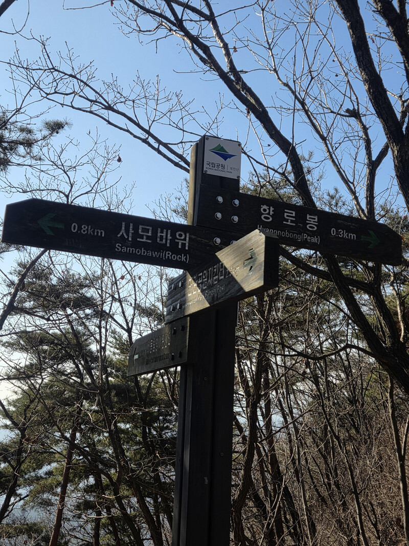 review